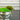 Silver trophy cup with artificial grass and moss on a dark surface