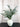 Vase with eucalyptus branches on a black surface against a white paneled wall.